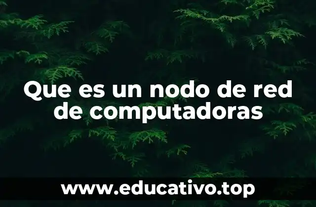 Que es un nodo de red de computadoras