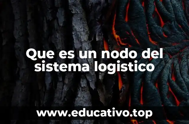 Que es un nodo del sistema logistico
