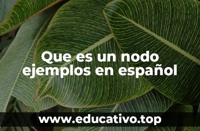 Que es un nodo ejemplos en español