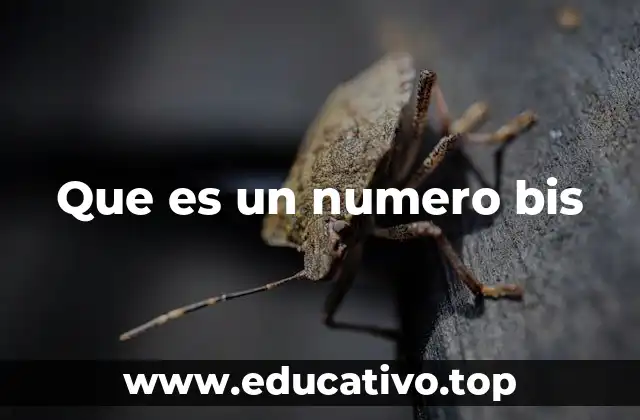 Que es un numero bis