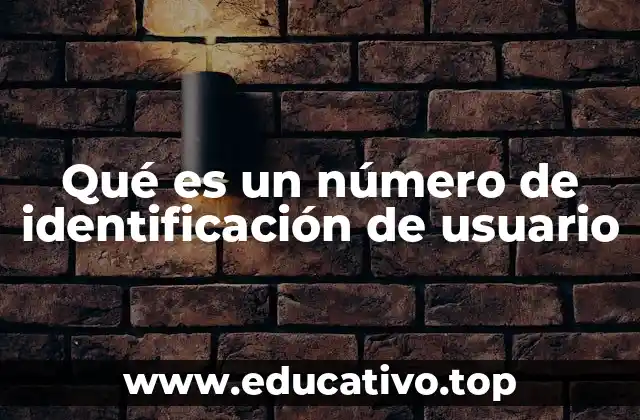 Cómo se utiliza un identificador único en plataformas digitales