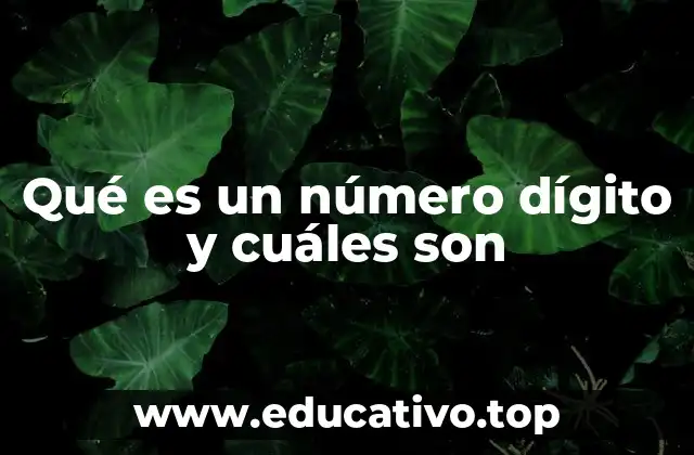 Los cimientos del sistema numérico: los dígitos como base de la numeración