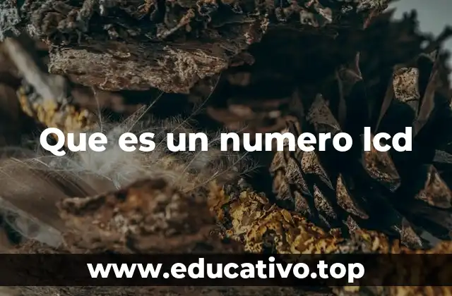 Que es un numero lcd