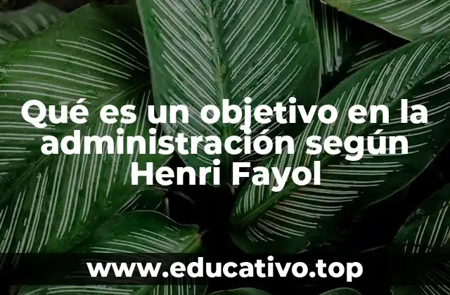 Qué es un objetivo en la administración según Henri Fayol
