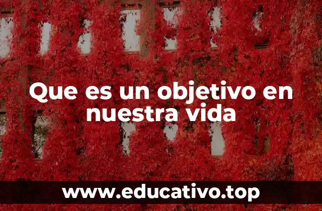 Que es un objetivo en nuestra vida