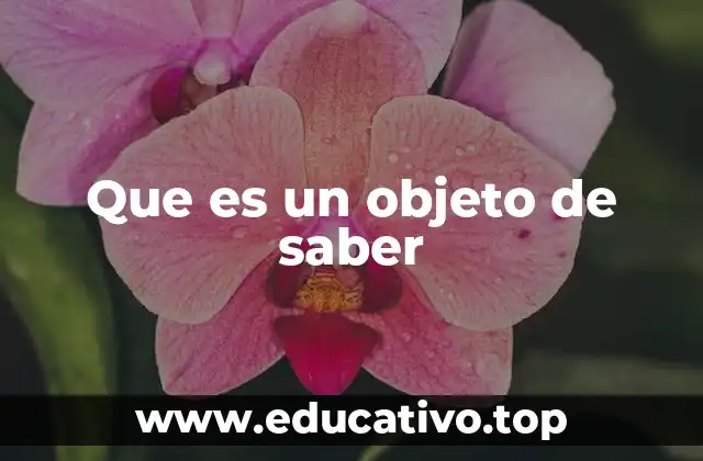 Que es un objeto de saber