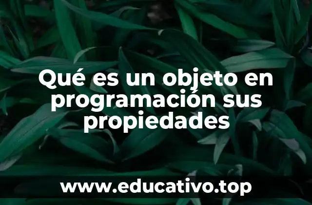 Qué es un objeto en programación sus propiedades