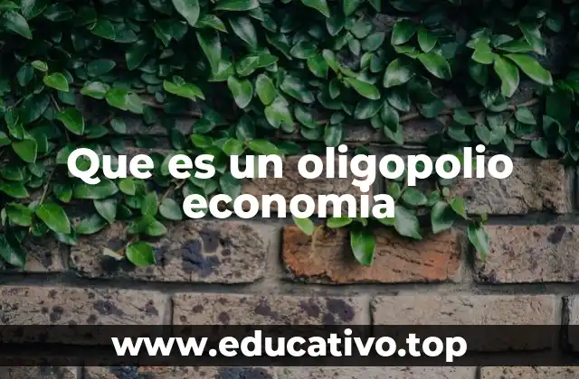 Que es un oligopolio economia