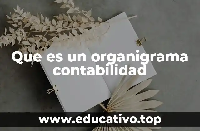 Que es un organigrama contabilidad
