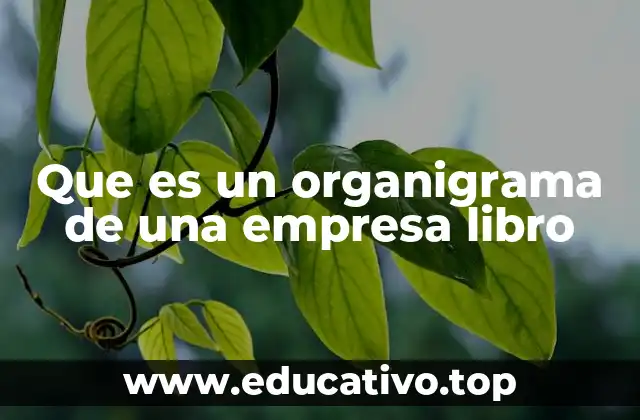 Que es un organigrama de una empresa libro