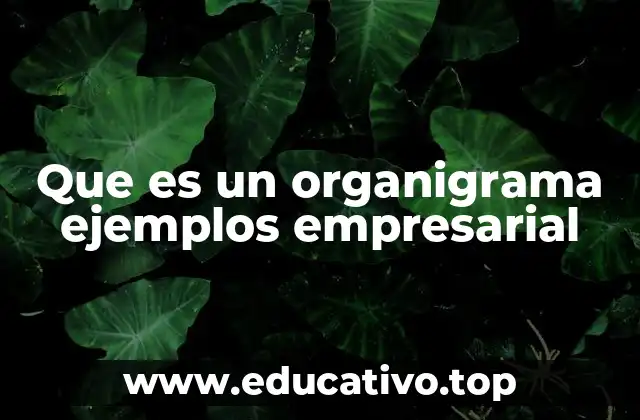 La importancia de visualizar la estructura empresarial