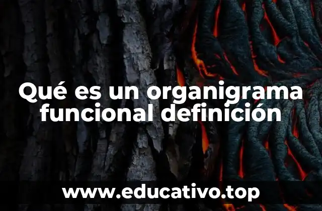 Qué es un organigrama funcional definición