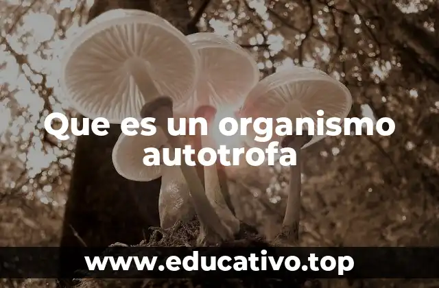 Que es un organismo autotrofa