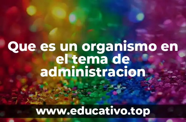 La estructura como base de un organismo administrativo