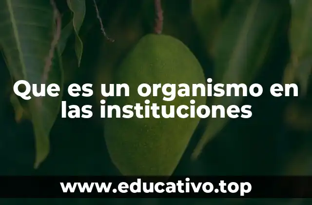 Que es un organismo en las instituciones