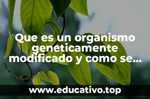 Que es un organismo geneticamente modificado y como se produce