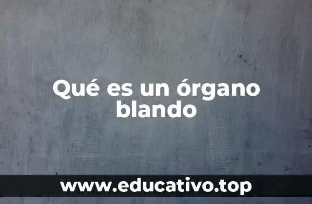 Qué es un órgano blando