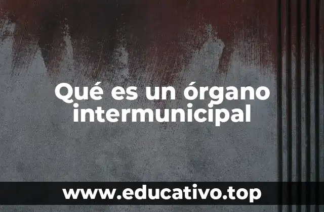 Qué es un órgano intermunicipal