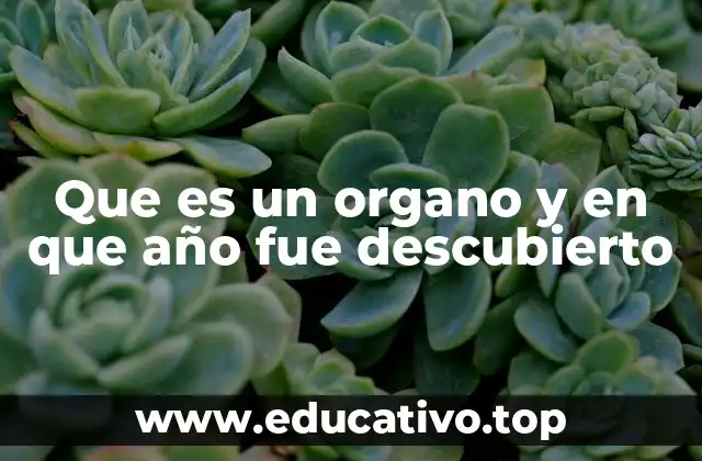 Que es un organo y en que año fue descubierto