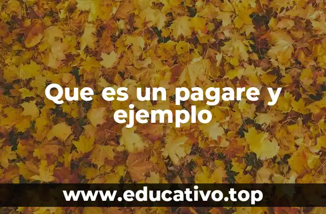 Que es un pagare y ejemplo