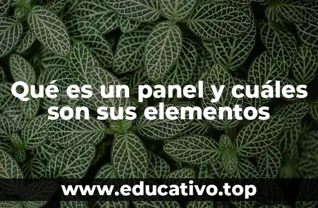 Qué es un panel y cuáles son sus elementos