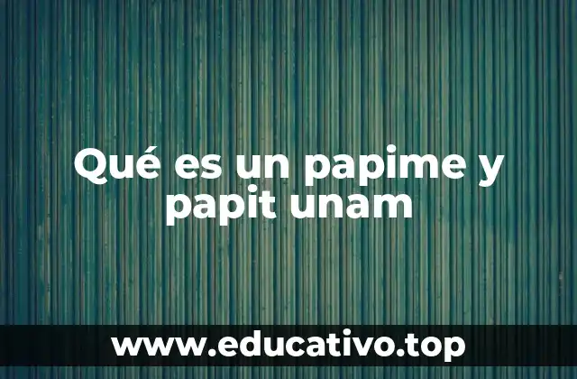 Qué es un papime y papit unam
