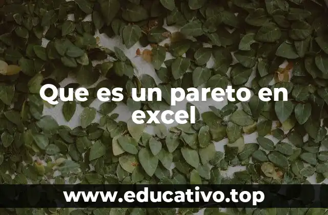 Que es un pareto en excel