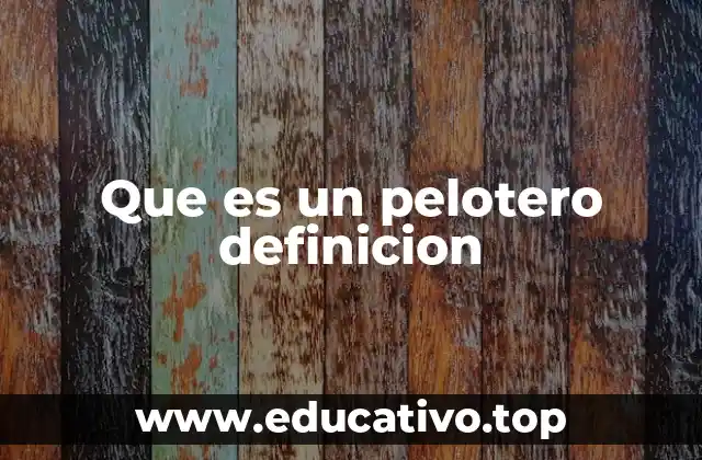 Que es un pelotero definicion