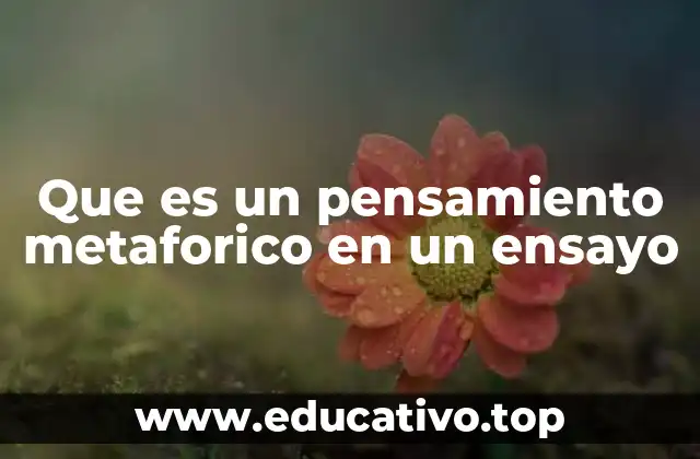 Que es un pensamiento metaforico en un ensayo