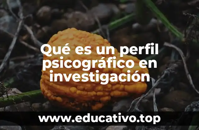 Qué es un perfil psicográfico en investigación