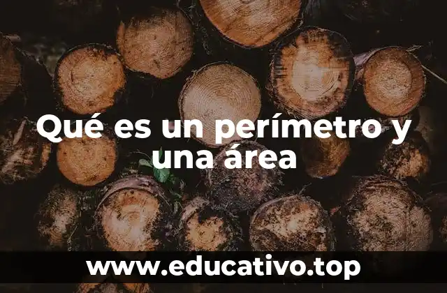 Diferencias entre perímetro y área en figuras geométricas