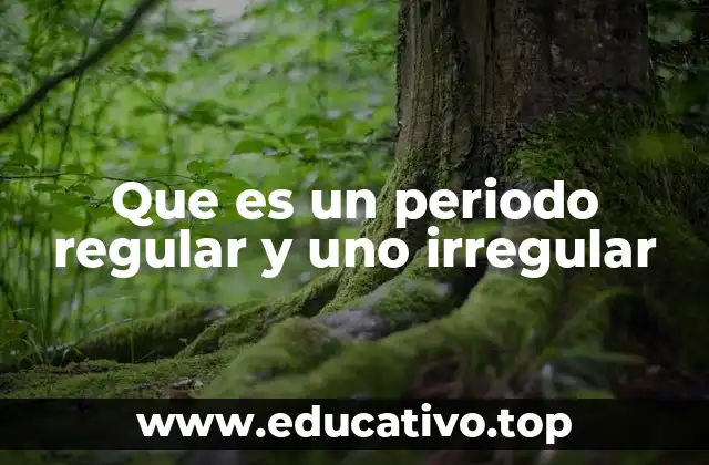 Que es un periodo regular y uno irregular