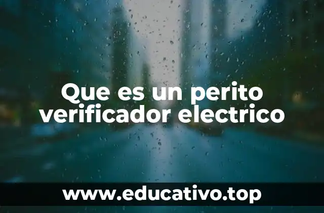 Que es un perito verificador electrico