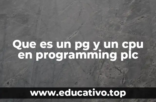Que es un pg y un cpu en programming plc