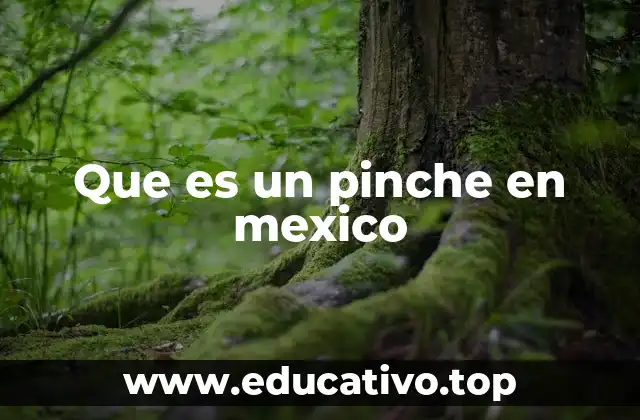 El uso del pinche en el lenguaje popular mexicano