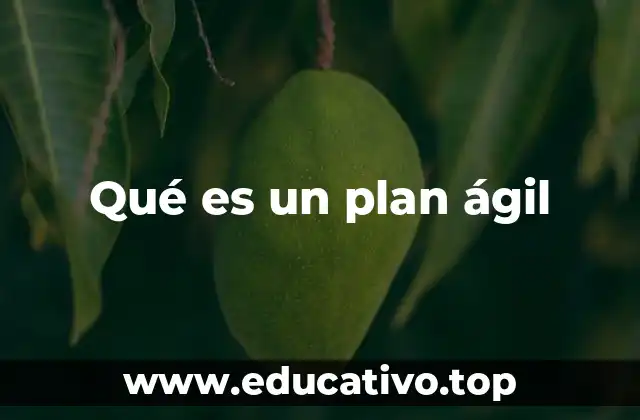 Qué es un plan ágil