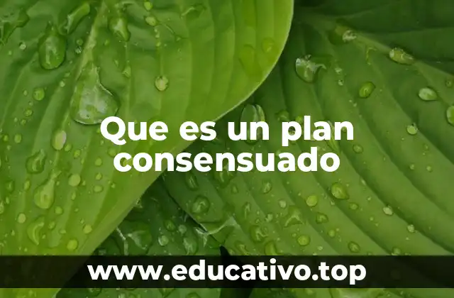 Que es un plan consensuado