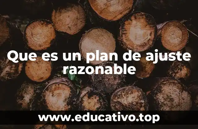 Que es un plan de ajuste razonable