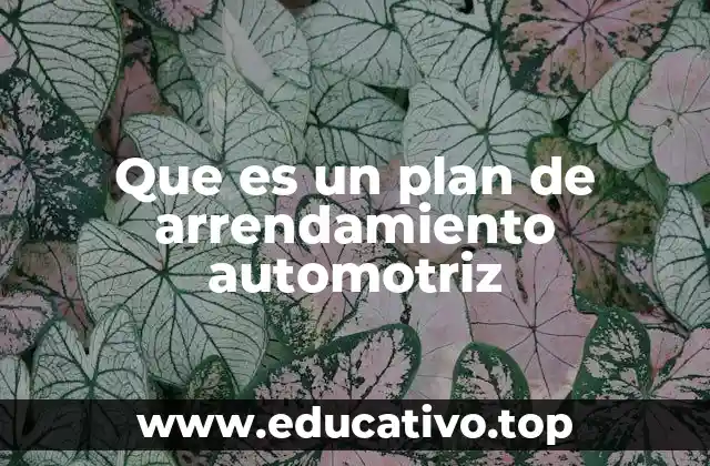 Que es un plan de arrendamiento automotriz