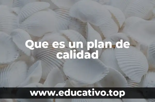 Que es un plan de calidad