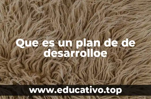 Que es un plan de de desarrolloe