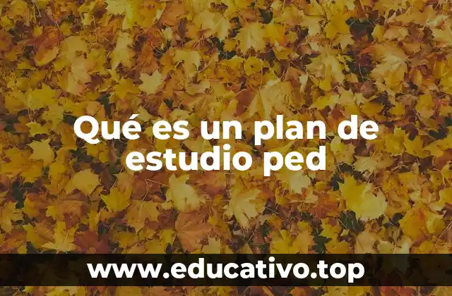 Qué es un plan de estudio ped