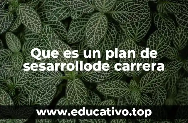 Que es un plan de sesarrollode carrera