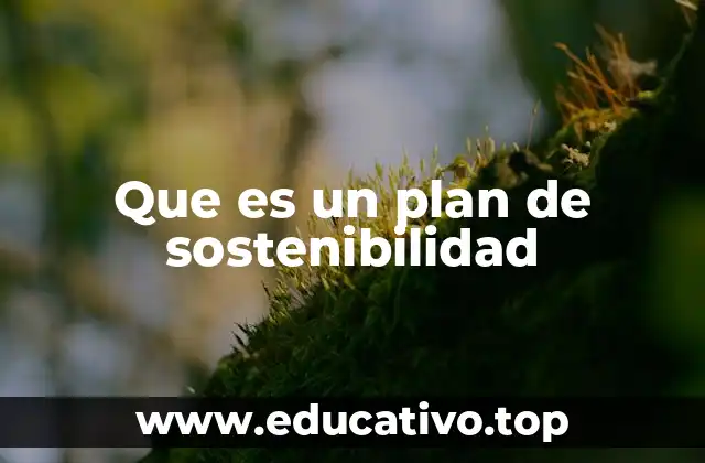 Que es un plan de sostenibilidad