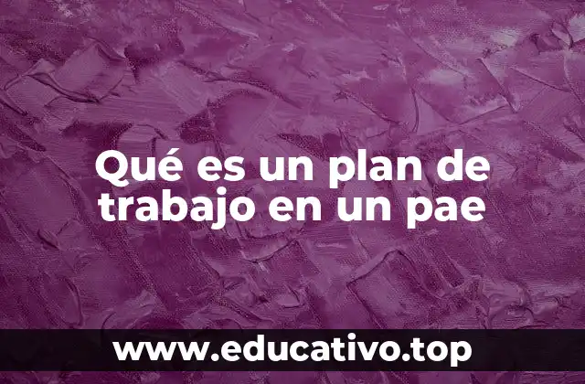 Qué es un plan de trabajo en un pae