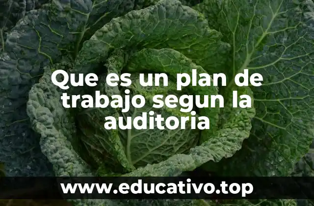 Que es un plan de trabajo segun la auditoria