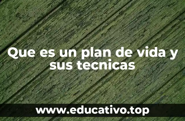 Que es un plan de vida y sus tecnicas