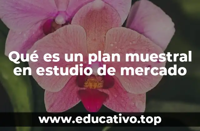 Cómo un plan muestral define la eficacia de un estudio