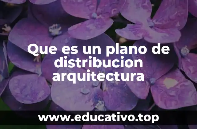 Que es un plano de distribucion arquitectura