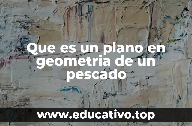 Que es un plano en geometria de un pescado